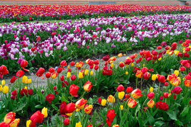 Similar image 22137232