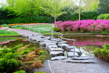 Similar image 22137233