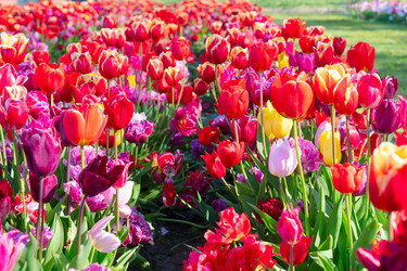 Similar image 22137237