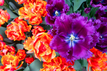 Similar image 22137240