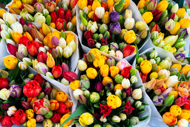 Similar image 22137241