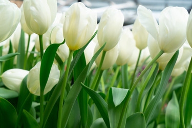 Similar image 22137242