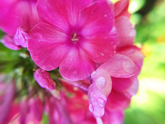 Similar image 22133373