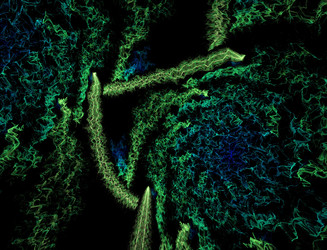 Similar image 22134713