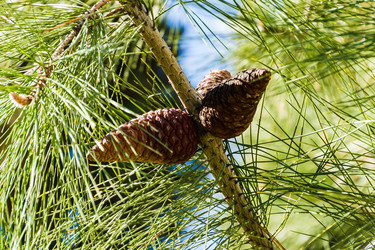 Similar image 22155232