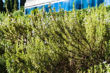 Similar image 22155233