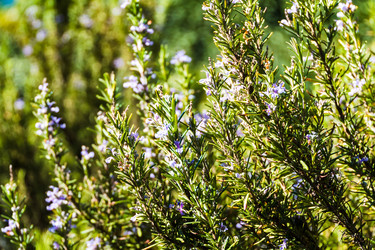 Similar image 22155234