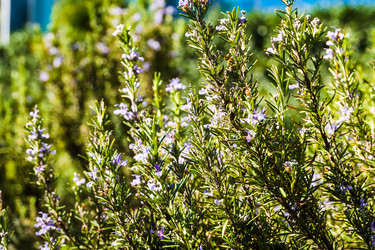 Similar image 22155235