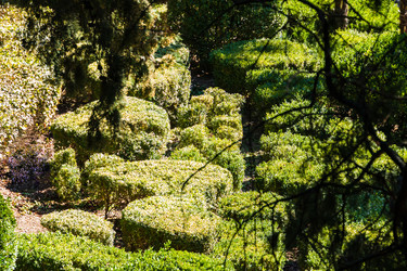 Similar image 22155236