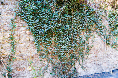 Similar image 22155238