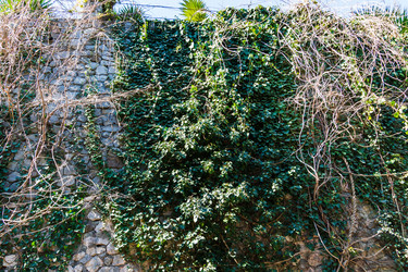 Similar image 22157804