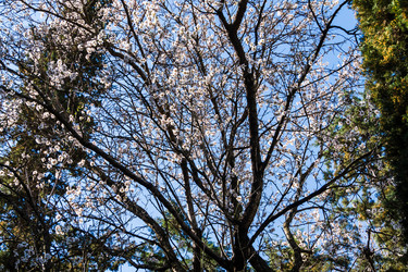 Similar image 22157806