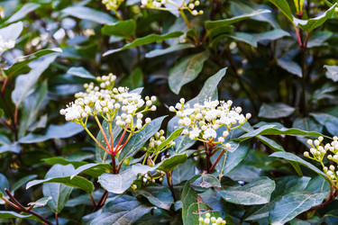 Similar image 22157807