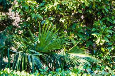 Similar image 22157809