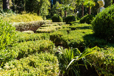 Similar image 22157810