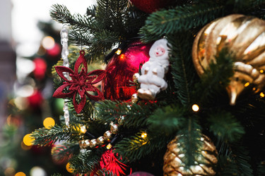 Similar image 22133452