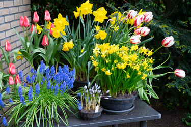 Similar image 22136879