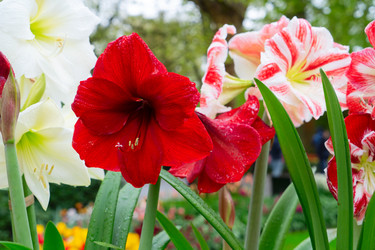 Similar image 22136917