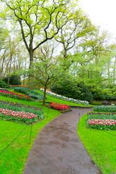 Similar image 22137002