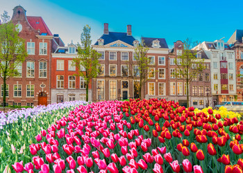 Similar image 22137004