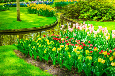 Similar image 22137007