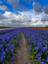 Similar image 22137008