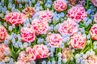 Similar image 22137009