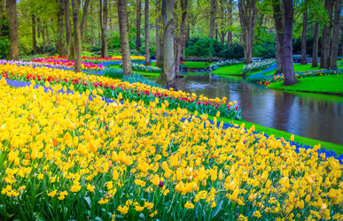 Similar image 22137013