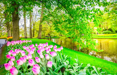 Similar image 22137020