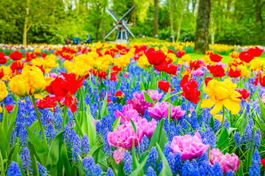 Similar image 22137244