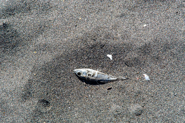 Similar image 22140836