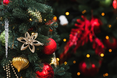 Similar image 22133383