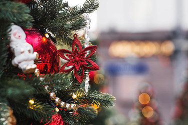 Similar image 22133386