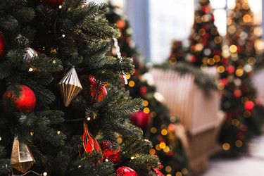 Similar image 22133388