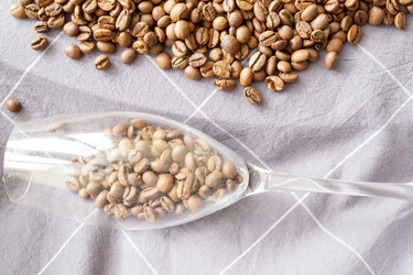 Similar image 22133006