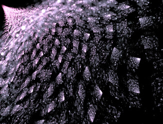 Similar image 22136356