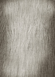 Similar image 22133009