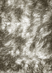 Similar image 22133010