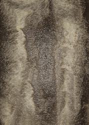 Similar image 22133012