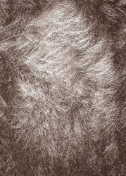 Similar image 22133014