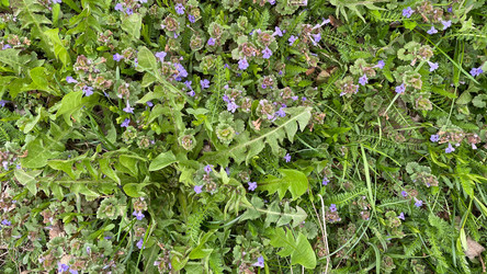 Similar image 22132992