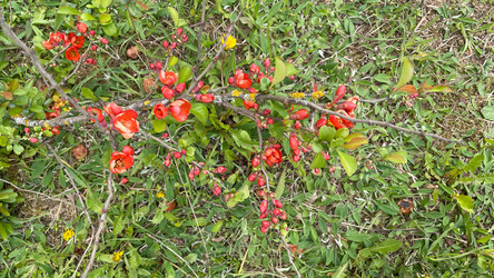 Similar image 22132993