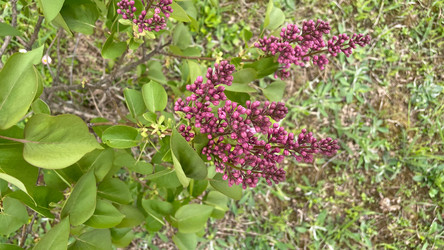 Similar image 22132994