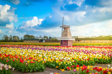 Similar image 22137455