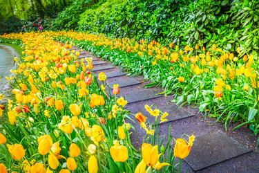 Similar image 22137458