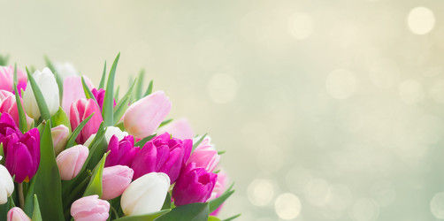 Similar image 22137467