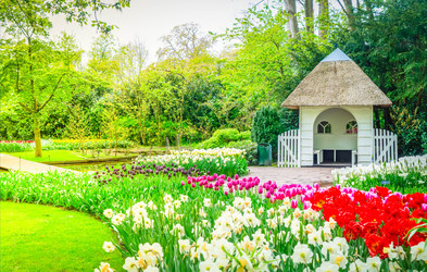 Similar image 22137475