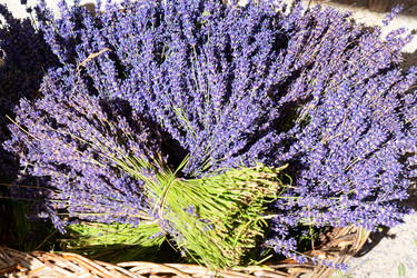 Similar image 22137478