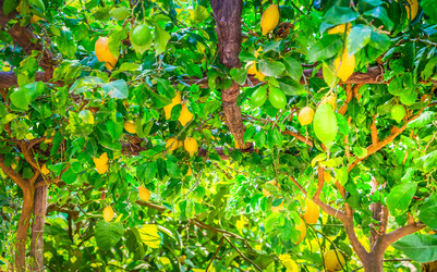 Similar image 22136882