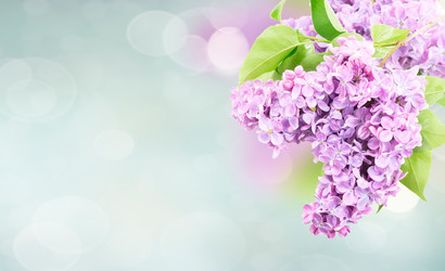 Similar image 22136889